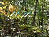 00 Poplar Holler Road - Photo 27