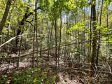 00 Poplar Holler Road - Photo 31