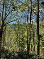 00 Poplar Holler Road - Photo 34
