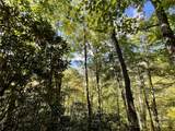 00 Poplar Holler Road - Photo 9