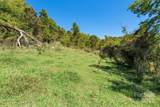 1623 Ammons Branch Road - Photo 14