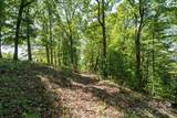 1623 Ammons Branch Road - Photo 9