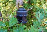 00 Cope Creek Road - Photo 24