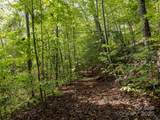 365 Duckback Trail - Photo 42