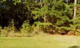 Lot 12 Indian Town Creek Drive - Photo 3
