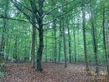 0 Fawn Lane - Photo 1