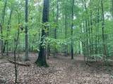 0 Fawn Lane - Photo 6
