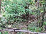 105 Crossvine Trail - Photo 10