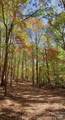 Lot 6 Flint Ridge Road - Photo 10