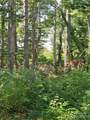 00 Bearwallow Mountain Drive - Photo 2