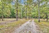 3966 Red Doc Road - Photo 10