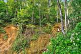 99999 Rocky Branch Trail - Photo 12