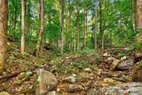 99999 Rocky Branch Trail - Photo 21