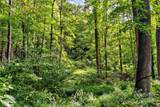 99999 Rocky Branch Trail - Photo 22