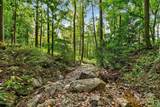 99999 Rocky Branch Trail - Photo 26
