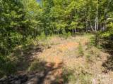 0 Mountain Parkway - Photo 12