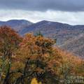 G-66 White Eagle Trail - Photo 11