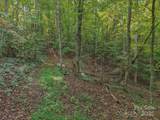 TBD Upper Glady Fork Road - Photo 4