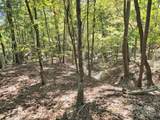2921 Painters Gap Road - Photo 17