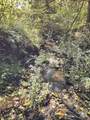 2921 Painters Gap Road - Photo 24