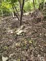 2921 Painters Gap Road - Photo 9