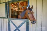 000 Deep Gap Farm Drive - Photo 12