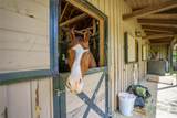 000 Deep Gap Farm Drive - Photo 9