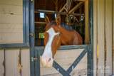 000 Deep Gap Farm Drive - Photo 10