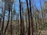 1 Bear Log Road - Photo 7