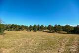 0 Wagoner Road - Photo 5