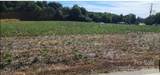 0 Old Pageland Marshville Road - Photo 4