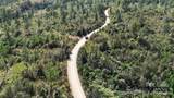 Lot 16 Farris Cato Road - Photo 21