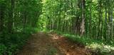 0 Cow Camp Road - Photo 14
