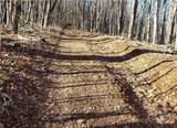 0 Cow Camp Road - Photo 17