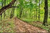 0 Cow Camp Road - Photo 3