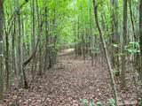 Lot 3 Mount Gilead Church Road - Photo 14