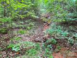 Lot 3 Mount Gilead Church Road - Photo 15