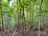 Lot 3 Mount Gilead Church Road - Photo 16
