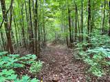 Lot 3 Mount Gilead Church Road - Photo 17