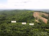 Lot 3 Mount Gilead Church Road - Photo 8