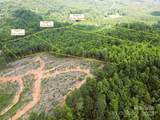 Lot 3 Mount Gilead Church Road - Photo 10