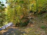 Lot A38 Tawodi Trail - Photo 3