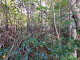 Tract 3 Linville Drive - Photo 11