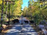 Tract 3 Linville Drive - Photo 4
