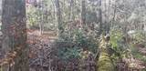 Lot C31 Shady Lane - Photo 17