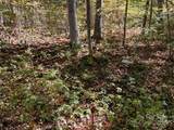 99999 Moody Cove Road - Photo 4