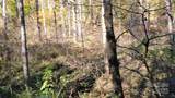 000 Cabin Hill Road - Photo 11