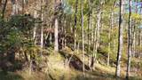 000 Cabin Hill Road - Photo 4