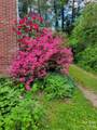 414 Beaucatcher Road - Photo 45