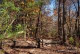TBD Old Toxaway Road - Photo 11